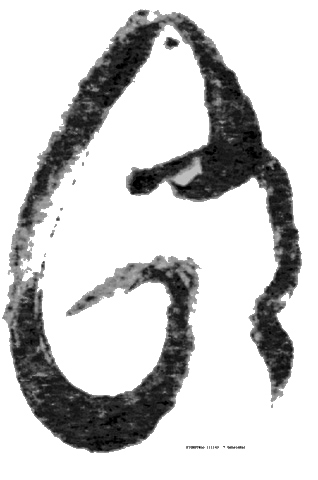 SIGNET111143
