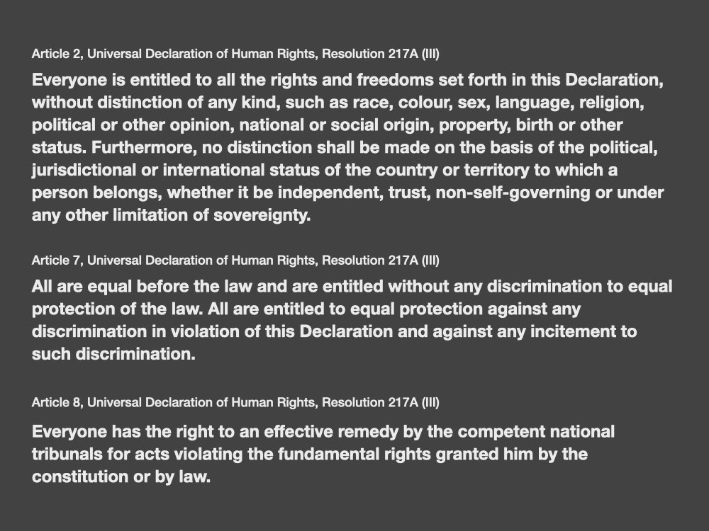 Art. 2,7,8 of the Universal Declaration of Human Rights